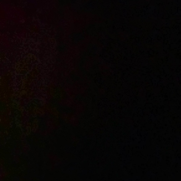 profile image of Charmi