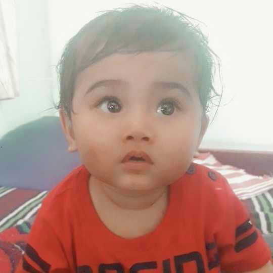 profile image of Rani Sanju