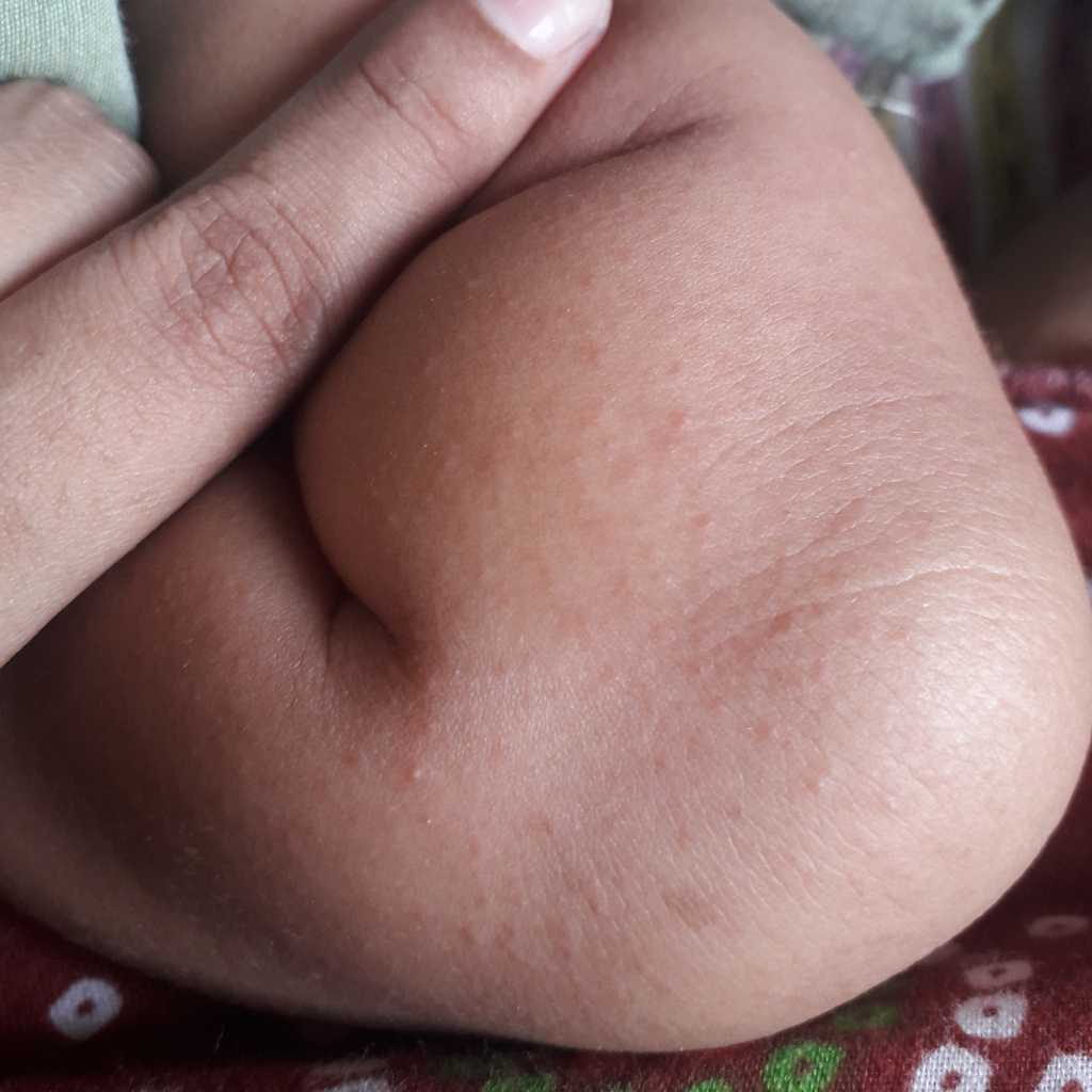 ghamori ka powder for baby