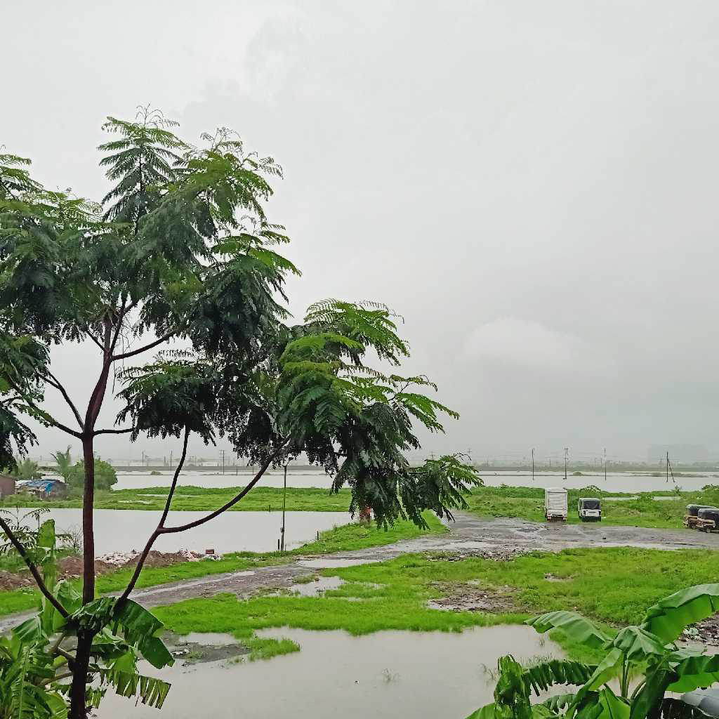 profile image of shagufta