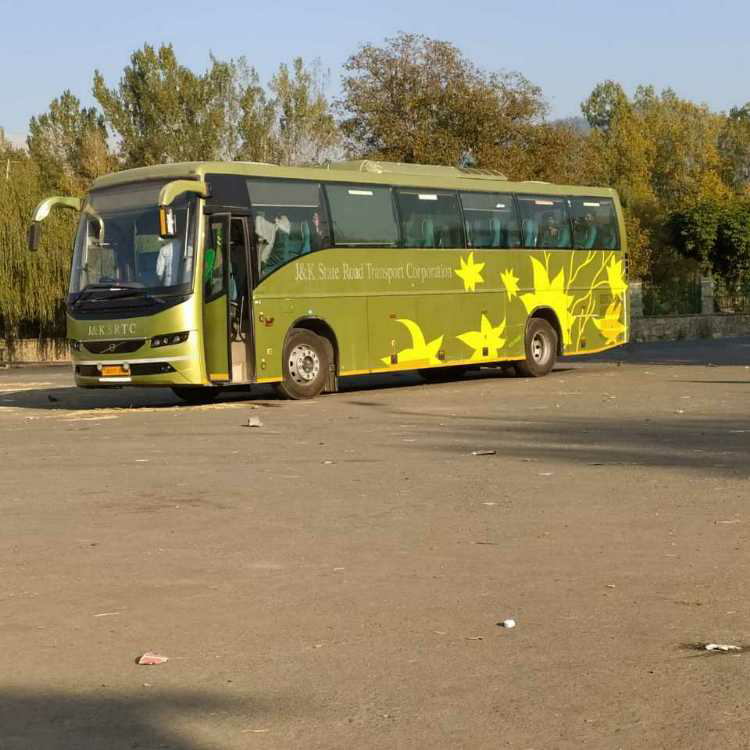 profile image of Tehseen