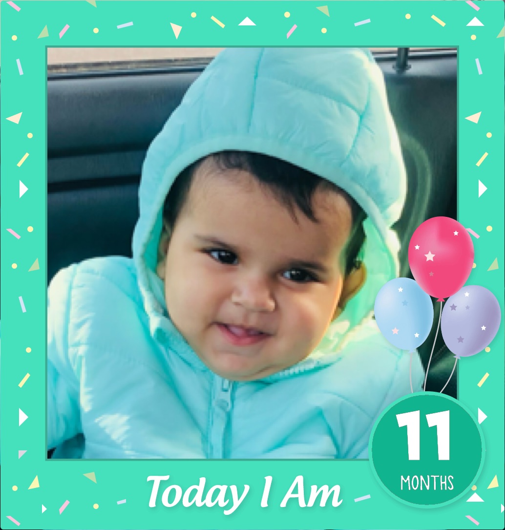 profile image of Vinod