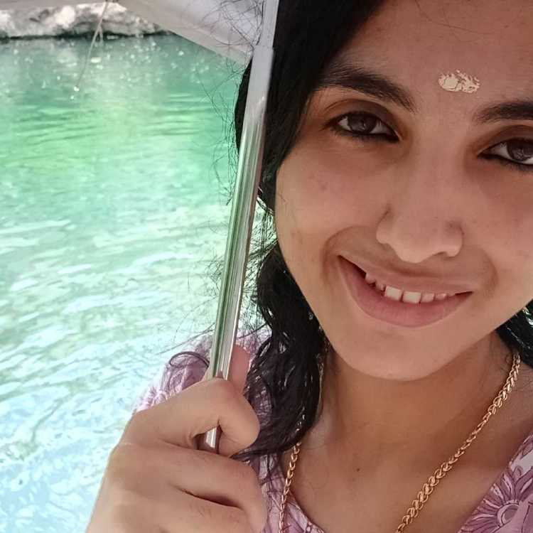 profile image of Krishna Nijil