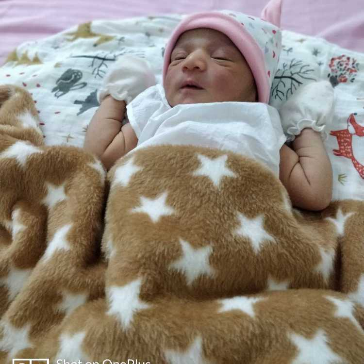 profile image of DRUVA N ANOOP