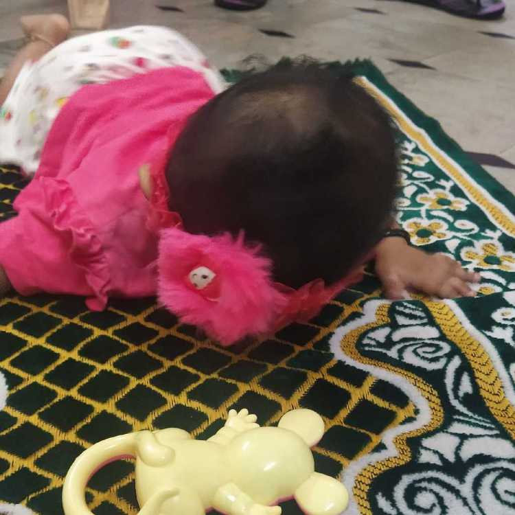 profile image of Samreen M