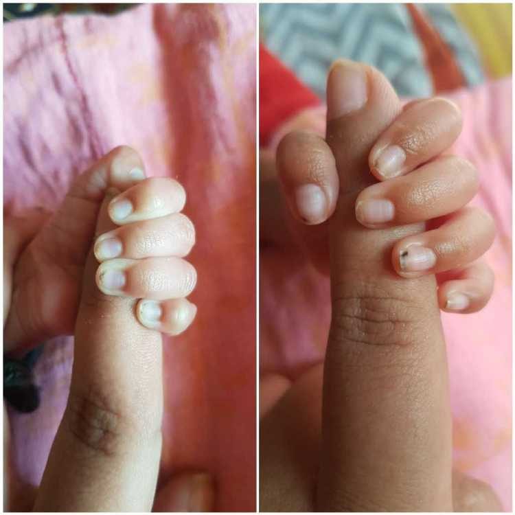 profile image of Bhargavi Sanapathi