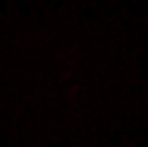 profile image of Himat