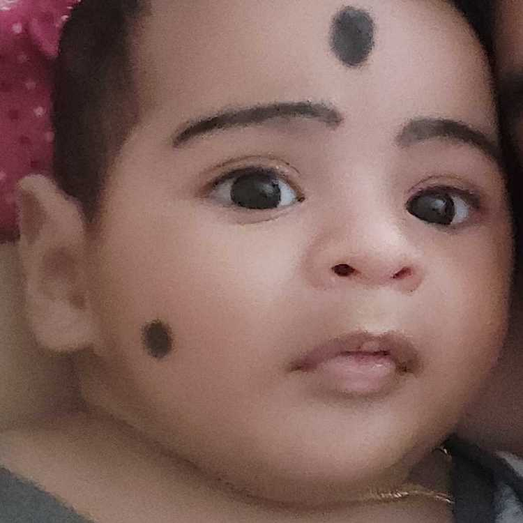 profile image of Vineeth