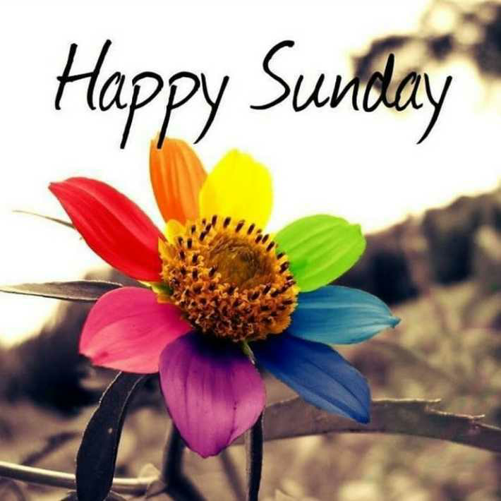 profile image of Prema