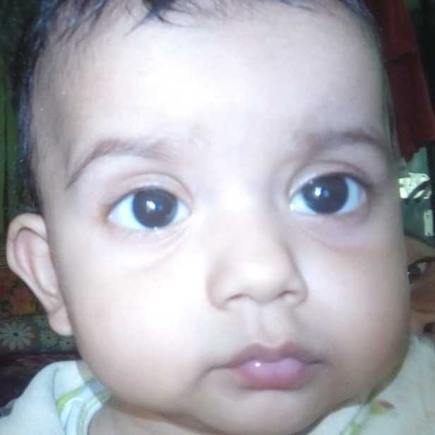 profile image of Farihha Alam