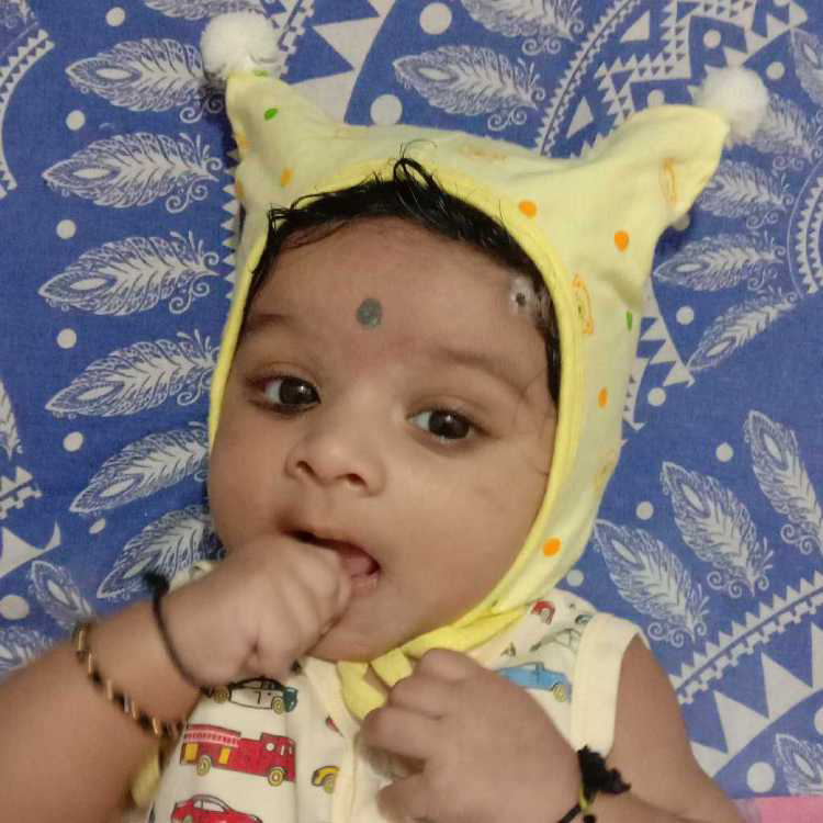 profile image of Srilata Vikrant Chauhan