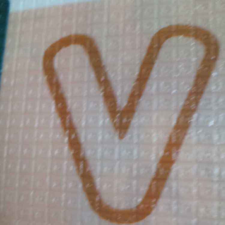 profile image of Nanthini