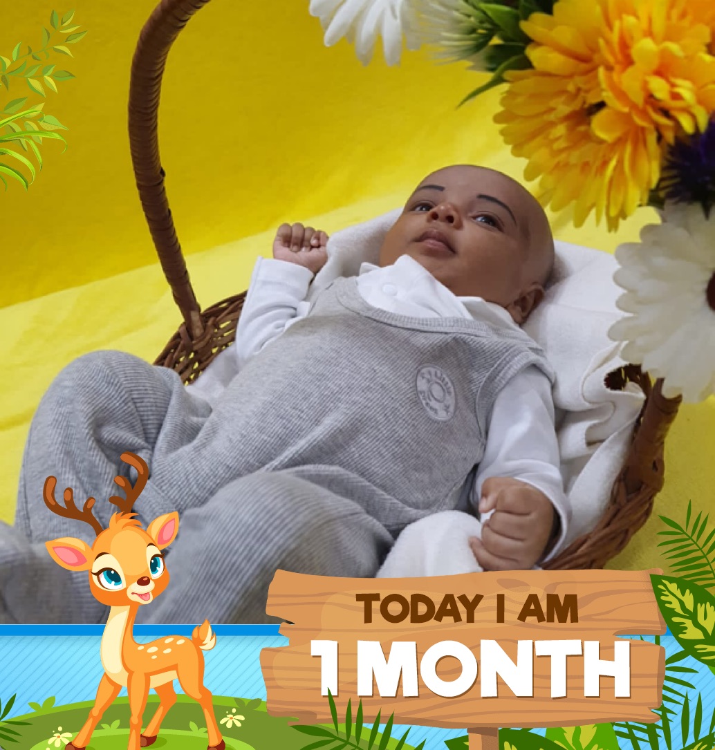 profile image of Nasli