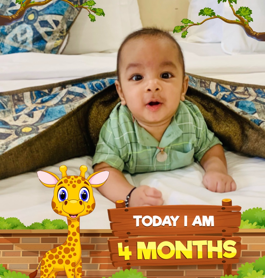 profile image of Mona Rajgadia