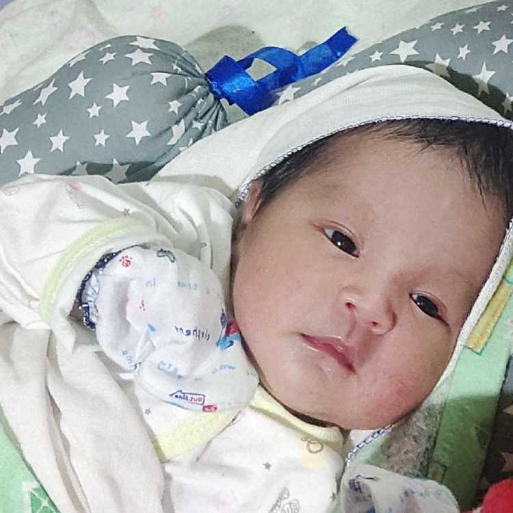 profile image of Areteez Gemini