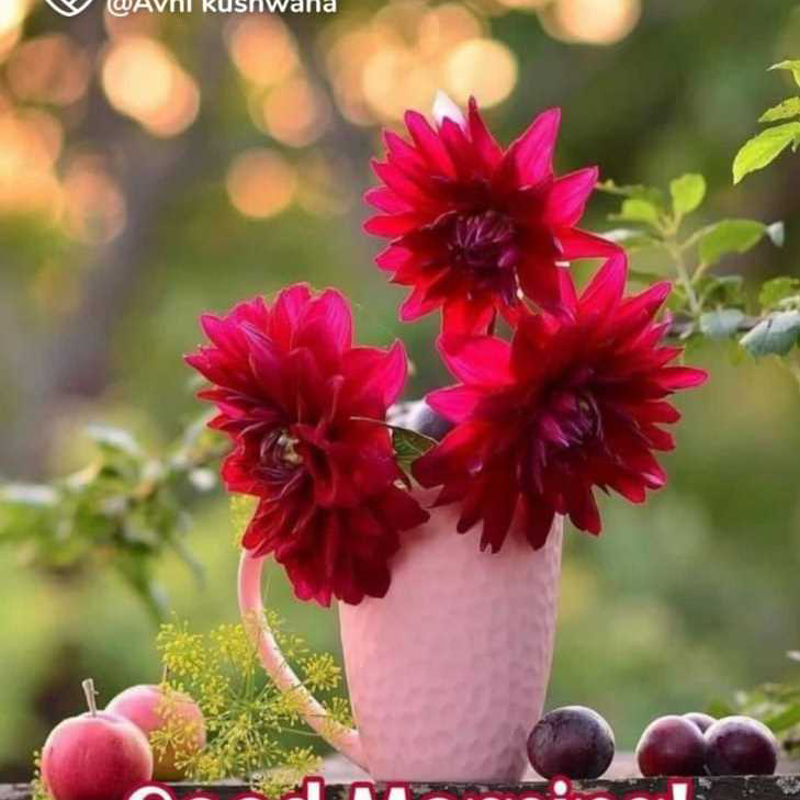 profile image of Reena singh