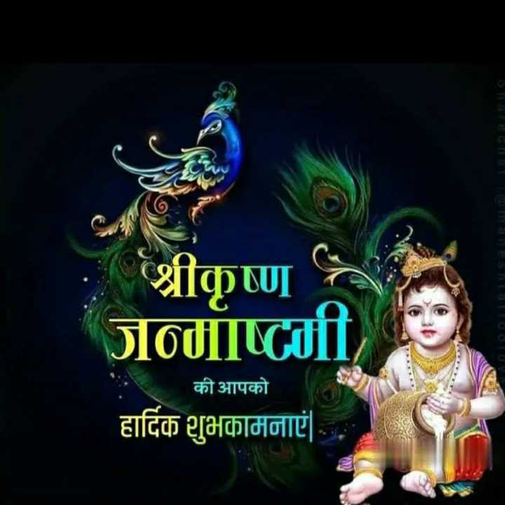 profile image of Shruti Kumari