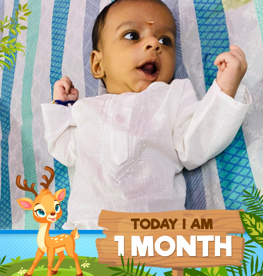 profile image of Harsh Thakur