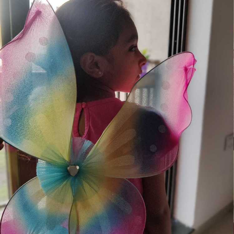 prit profile image of prit