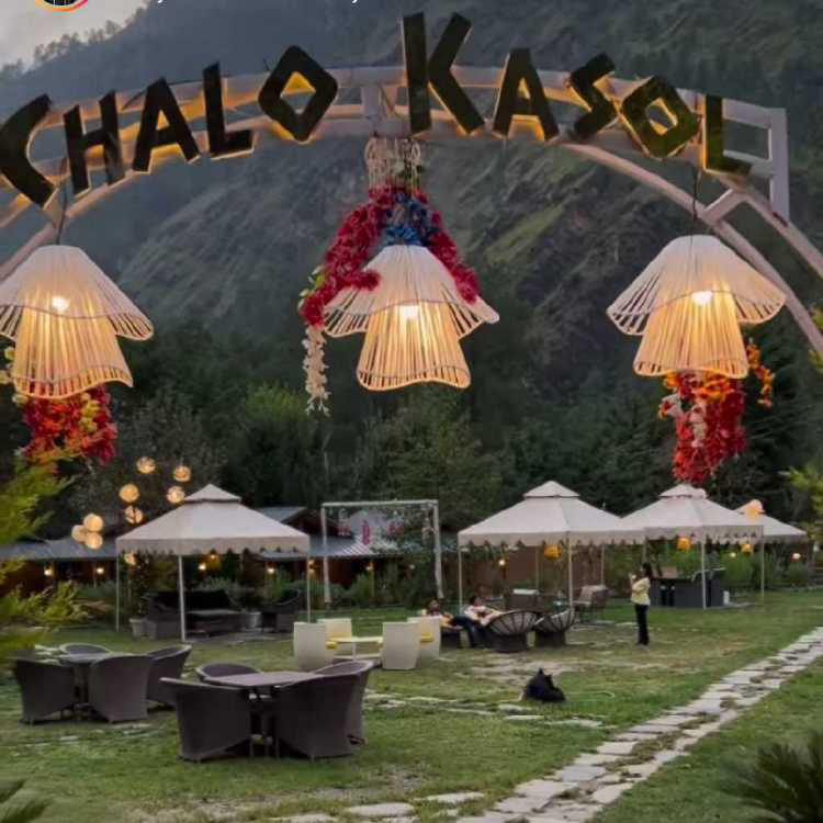 profile image of Vineeta Tak