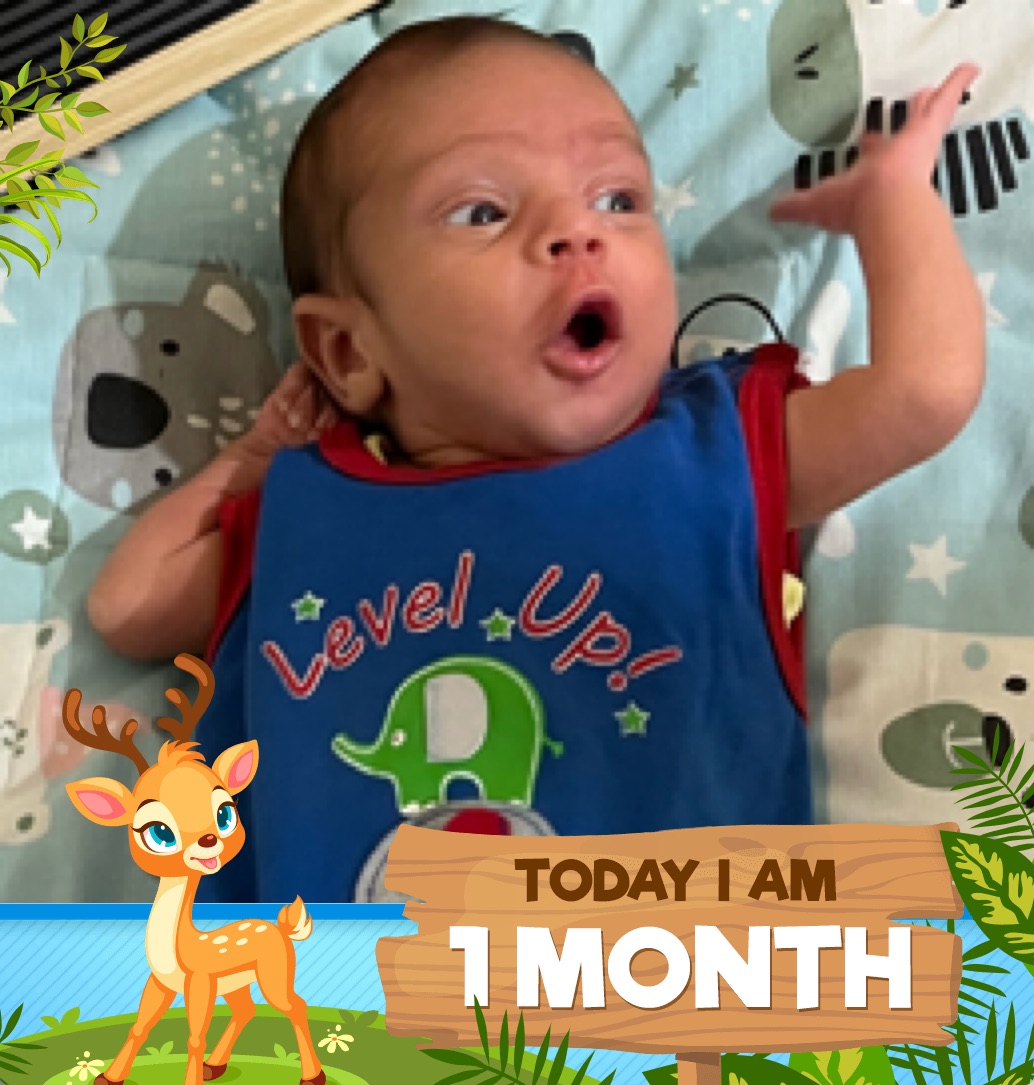 profile image of Shobhna