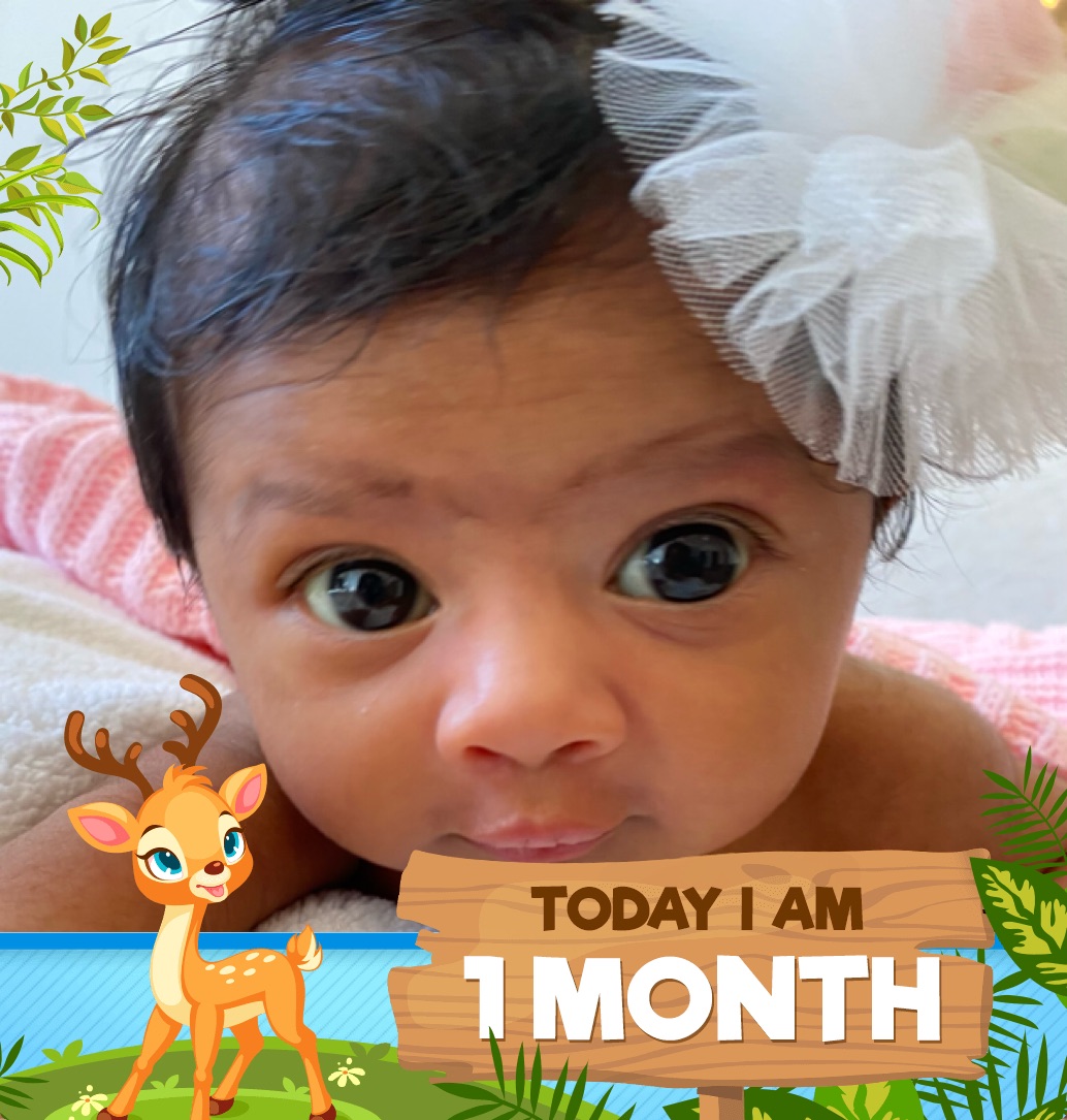 profile image of Apoorva Rai