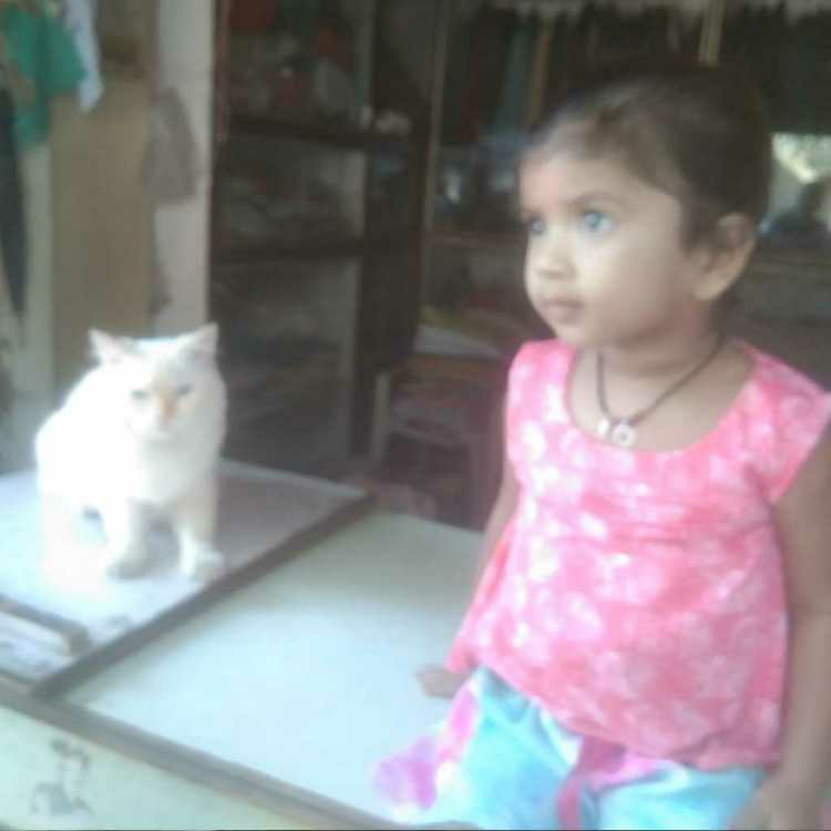 profile image of Abhishek Singh