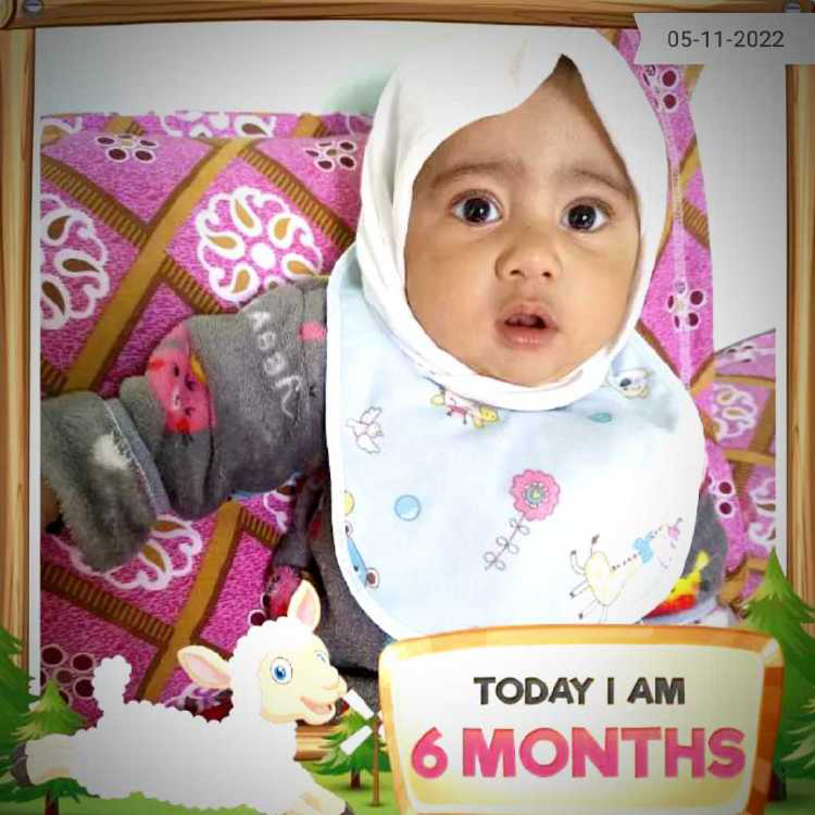 profile image of Shabana Saqib