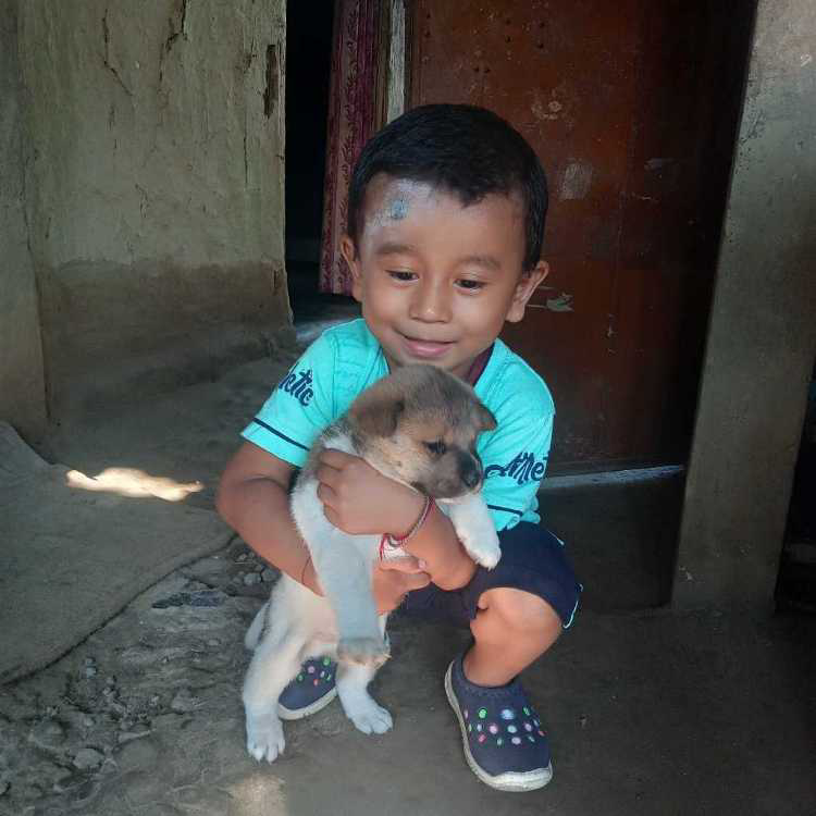 profile image of Monju Gogoi