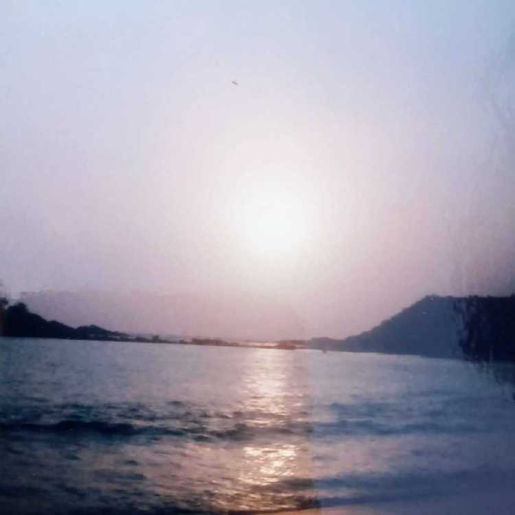 profile image of Shweta