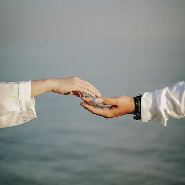 profile image of Fatema rasbharya