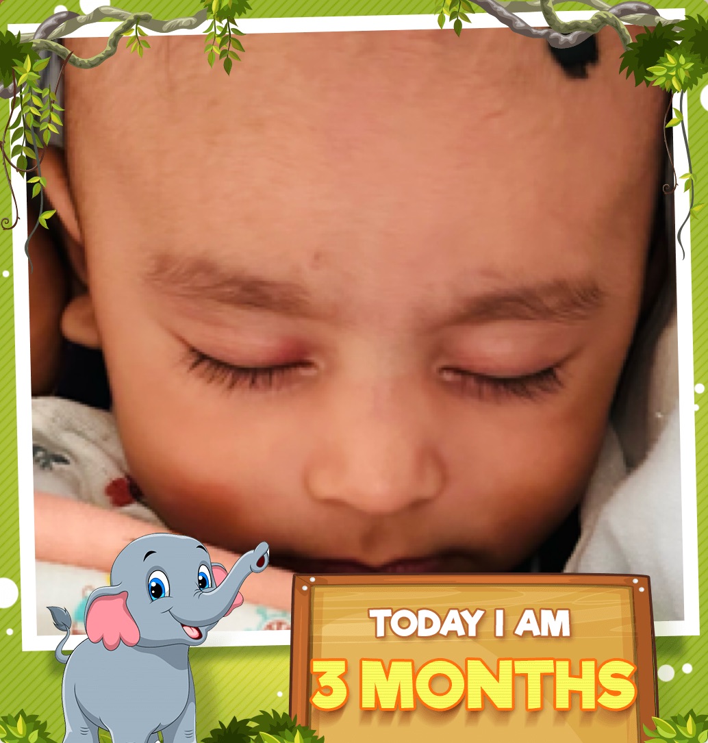 profile image of Ankita Desai Yadav