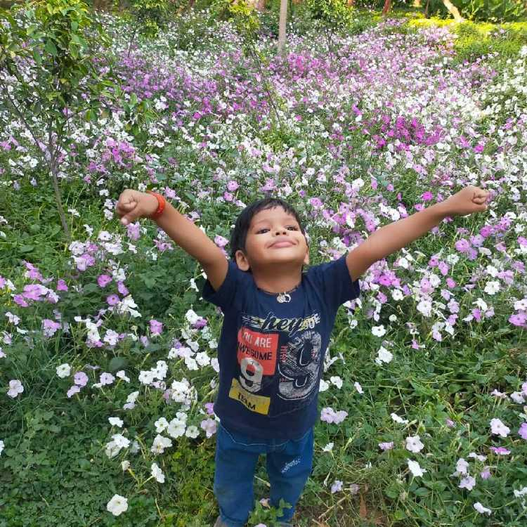 profile image of Rameshwari mishra