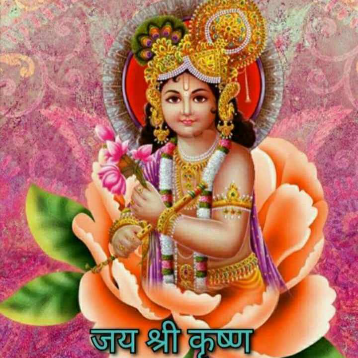 profile image of Vivek Kumar