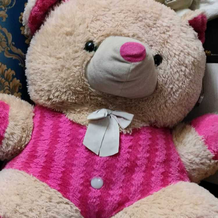 profile image of Snehal Dhandrut