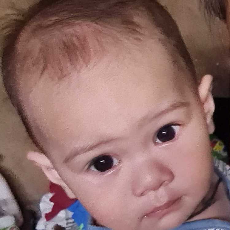 profile image of Lily Shih