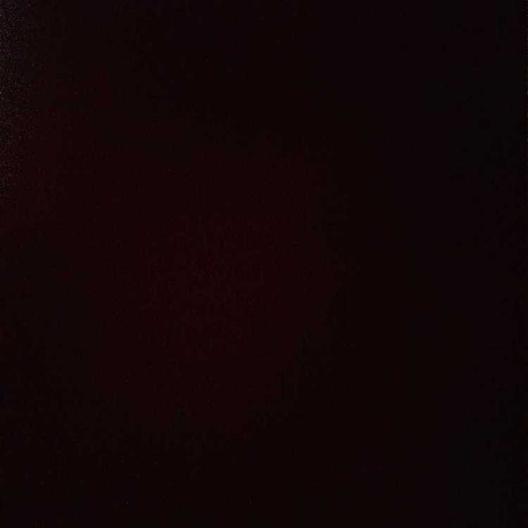 profile image of Sariya Sultana