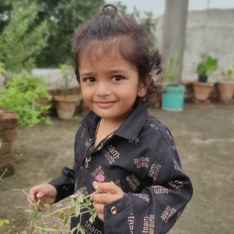 profile image of Krishna kumar yadav