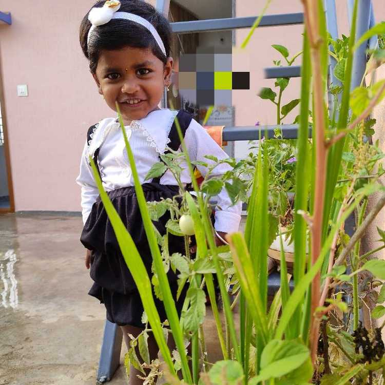 profile image of Sharada N