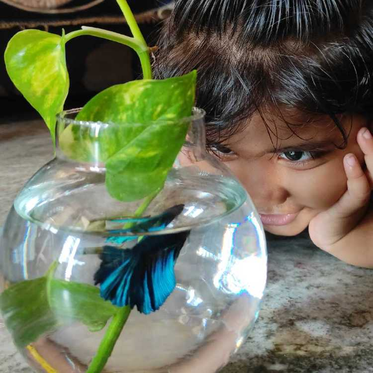 profile image of shahawaz banu Sk