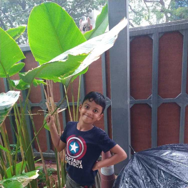 profile image of Rithiisha