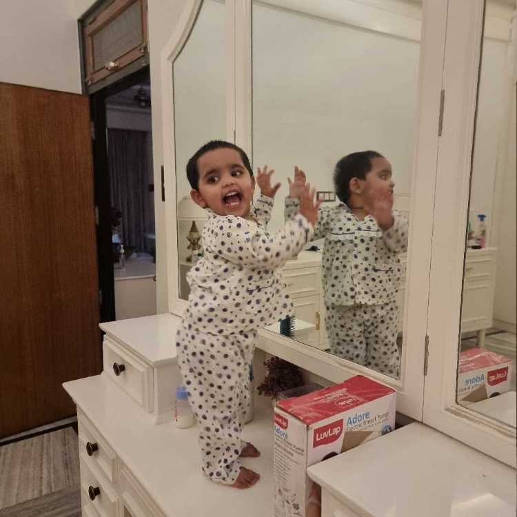 profile image of Shamekha Ansari