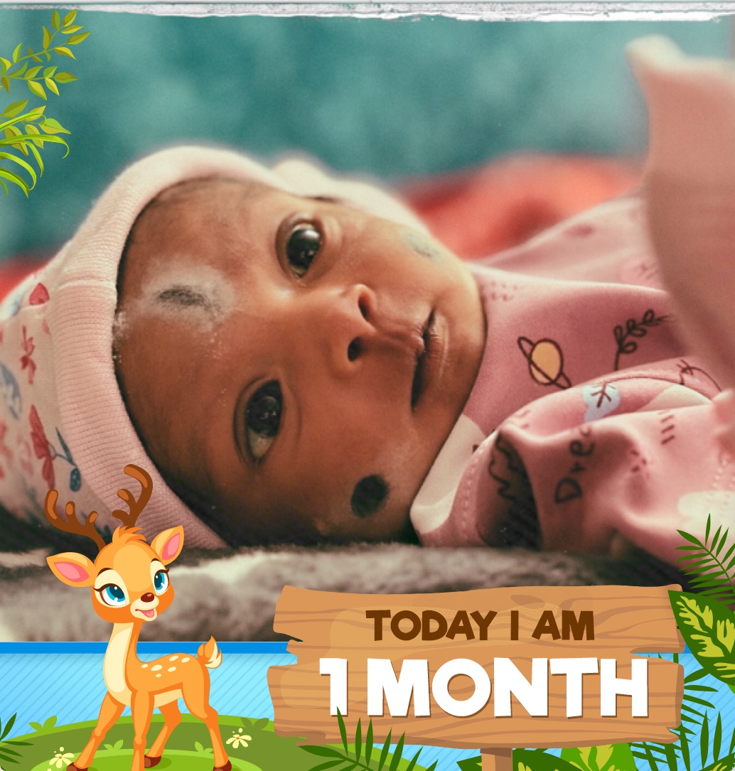 profile image of Harshitha