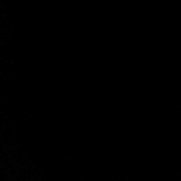 profile image of Pavani Rakshith