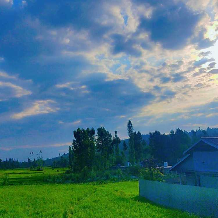 profile image of Javid Lone