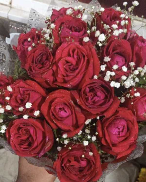 profile image of Amruta Bairagi