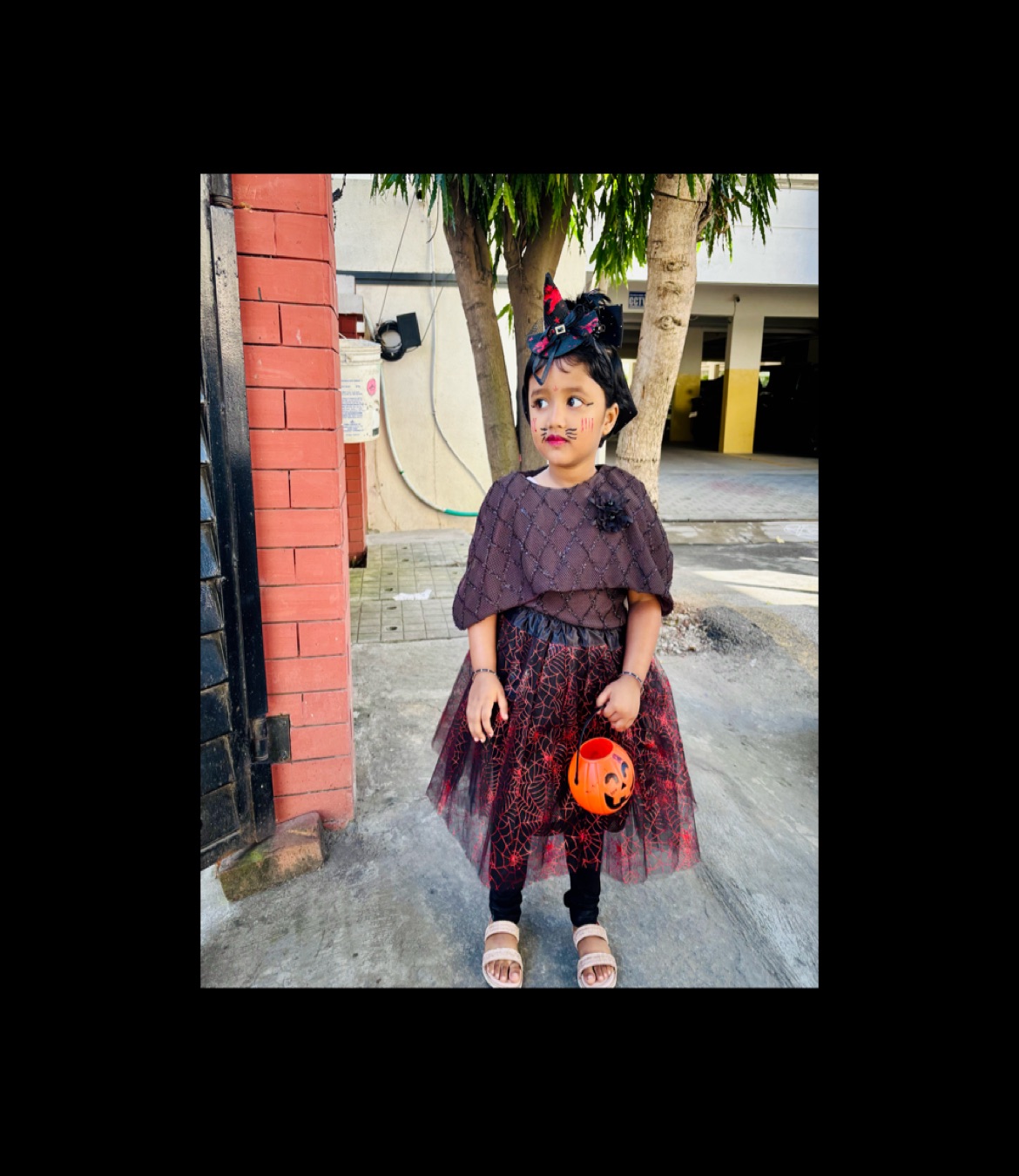 profile image of Madhusmita Chakraborty