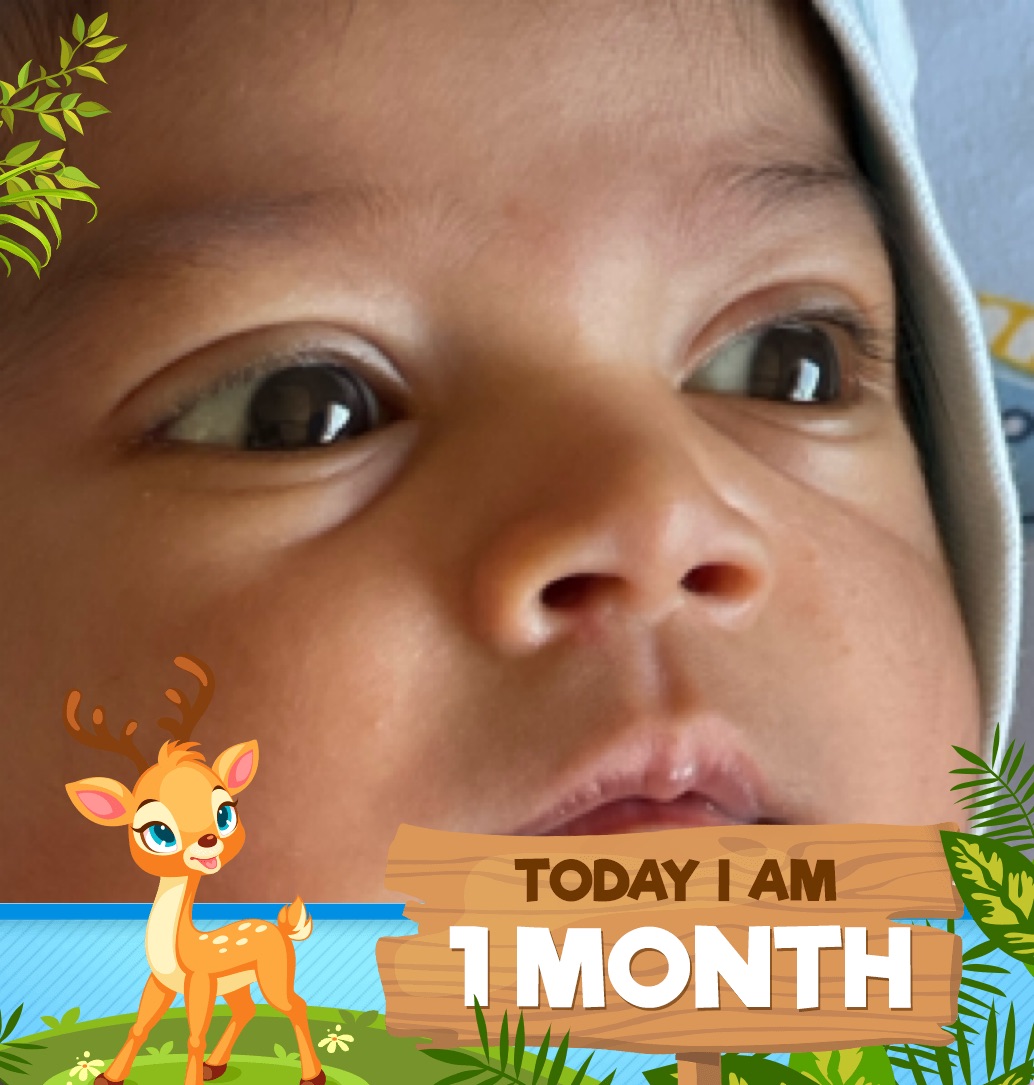 profile image of SHRADDHA