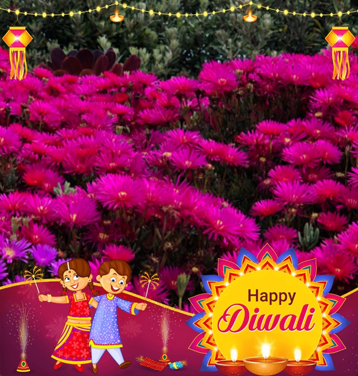 profile image of Akash