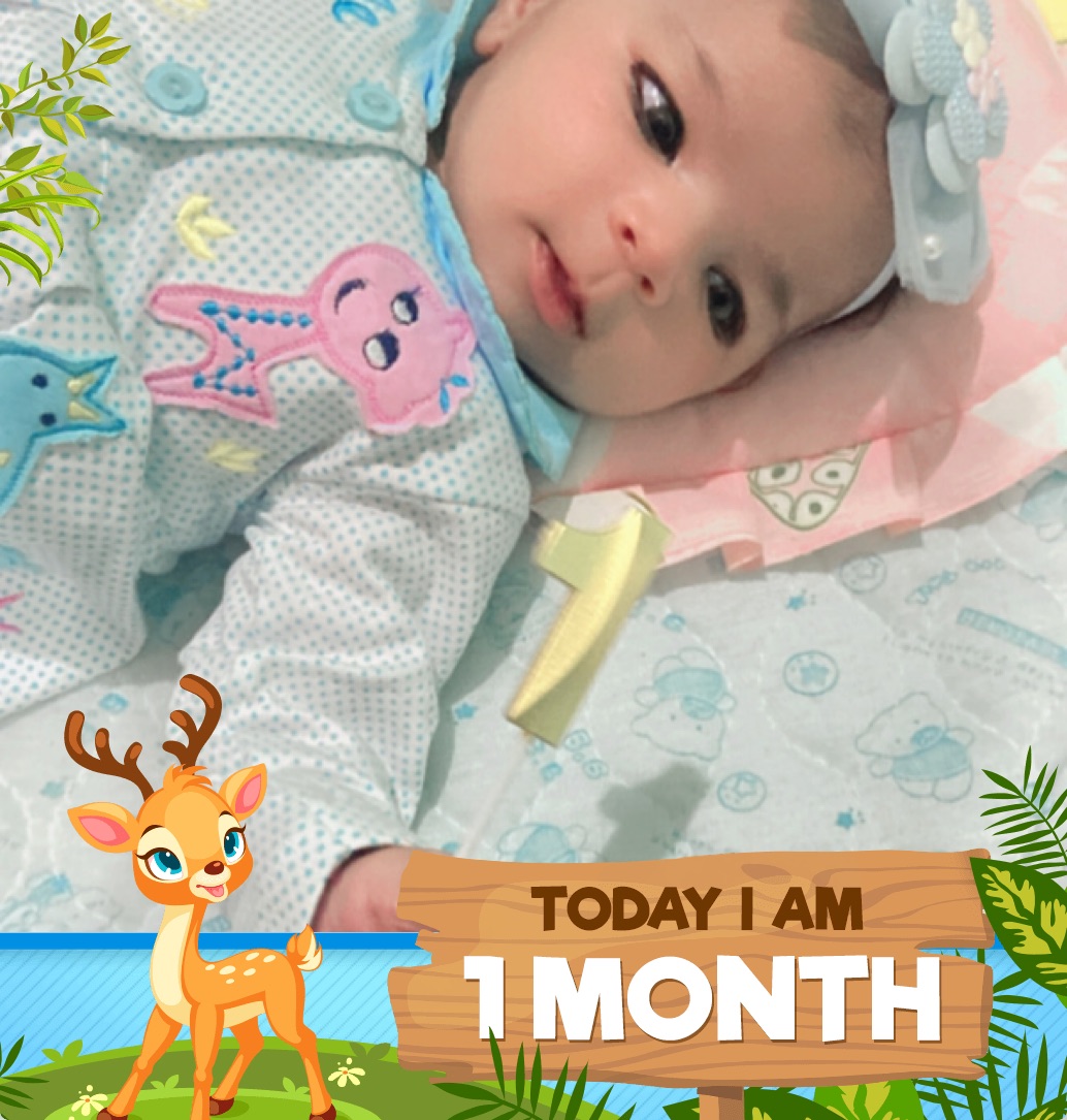 profile image of Rahat